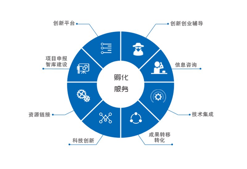 项目孵化